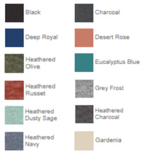 Load image into Gallery viewer, ACPAO- District Fleece Unisex Hoodie