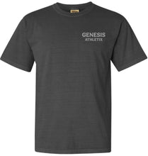 Load image into Gallery viewer, GA Adult Comfort Colors Washed Heavy Tee &amp; Long sleeve
