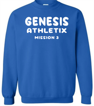 Load image into Gallery viewer, GA Puff Print Mission 3 Hoodie or Crewneck Sweatshirt
